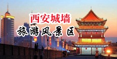 挺进美妇骚中国陕西-西安城墙旅游风景区